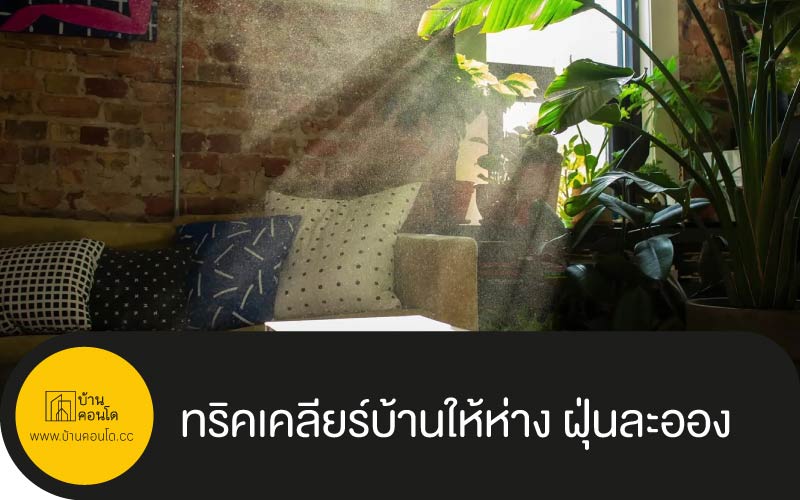 ทริคเคลียร์บ้านให้ห่าง ฝุ่นละออง