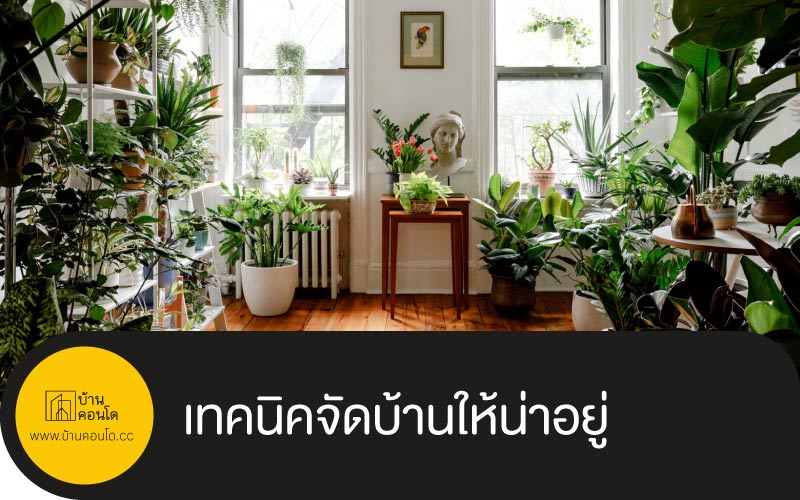 เทคนิคจัดบ้านให้น่าอยู่