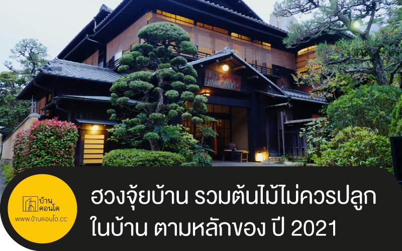 ฮวงจุ้ยบ้าน รวมต้นไม้ไม่ควรปลูกในบ้าน ตามหลักของ ปี 2021