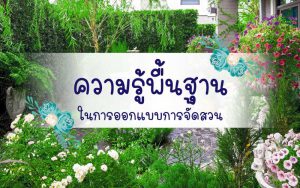 ความรู้พื้นฐานในการออกแบบการจัดสวน