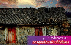 เคล็ดลับสำหรับการดูแลรักษาบ้านให้แข็งแรง