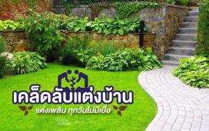 เคล็ดลับแต่งบ้าน แต่งเพลิน ทุกวันไม่มีเบื่อ