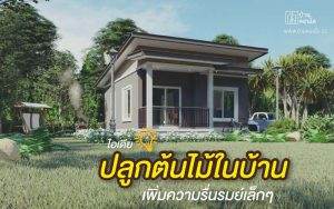 ไอเดีย ปลูกต้นไม้ในบ้าน เพิ่มความรื่นรมย์เล็กๆ