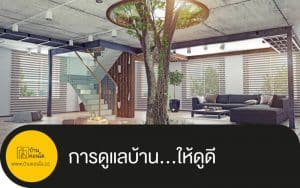 การดูแลบ้าน…ให้ดูดี