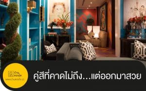 คู่สีที่คาดไม่ถึง...แต่ออกมาสวย
