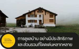 การดูแลบ้าน อย่างมีประสิทธิภาพ และส่วนรวมที่โดดเด่นหลากหลายที่สุด