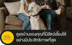 ดูแลบ้านของคุณที่มีสัตว์เลี้ยงได้ อย่างมีประสิทธิภาพที่สุด