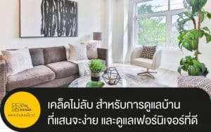 สูตรเด็ดเคล็ดไม่ลับ สำหรับการดูแลบ้าน ที่แสนจะง่าย และดูแลเฟอร์นิเจอร์ที่ดี