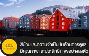 สีบ้านและความจำเป็น ในด้านการดูแลอย่างดีเยี่ยม มีคุณภาพและประสิทธิภาพอย่างลงตัว